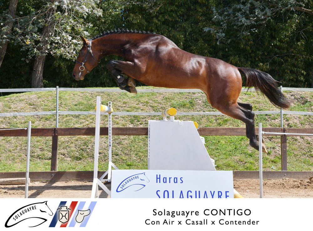 SOLAGUAYRE CONTIGO